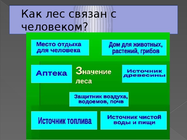 По тексту к паустовского составьте схему значение леса 3 класс