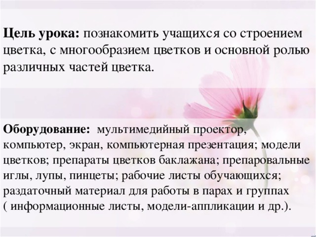 Цель урока: познакомить учащихся со строением цветка, с многообразием цветков и основной ролью различных частей цветка. Оборудование: мультимедийный проектор, компьютер, экран, компьютерная презентация; модели цветков; препараты цветков баклажана; препаровальные иглы, лупы, пинцеты; рабочие листы обучающихся; раздаточный материал для работы в парах и группах ( информационные листы, модели-аппликации и др.). 