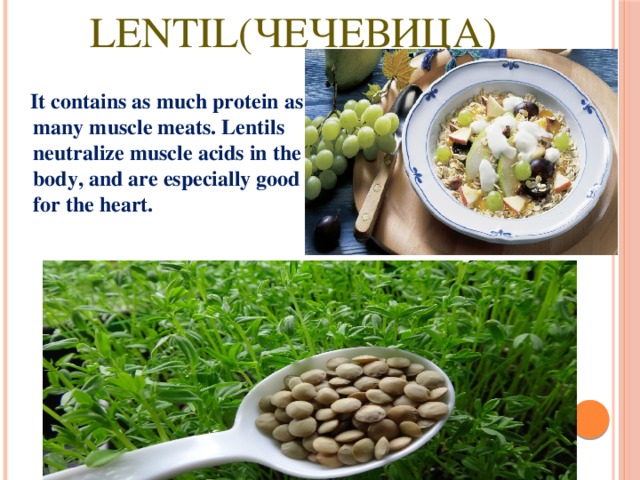 Lentil(чечевица)  It contains as much protein as many muscle meats. Lentils neutralize muscle acids in the body, and are especially good for the heart. 