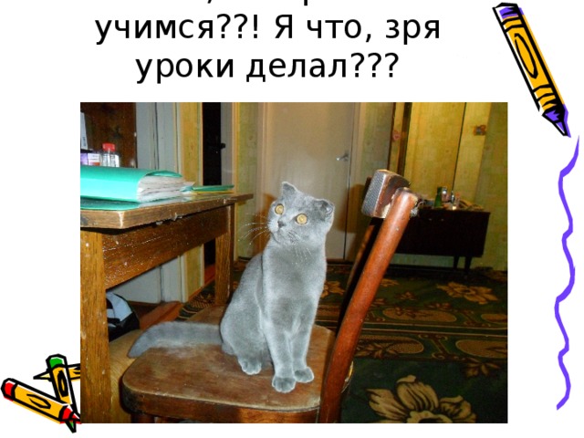 Не учимся. Завтра не Учимся. Ура я сделал уроки. Завтра не Учимся картинка.