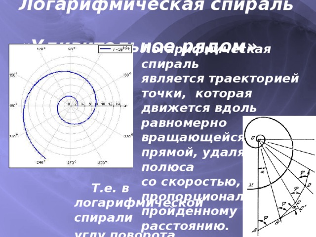 Логарифмическая спираль в дизайне