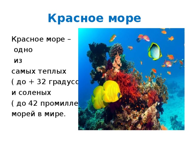 План описания красного моря