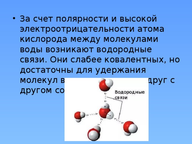 Схема образования водородной связи между молекулами воды