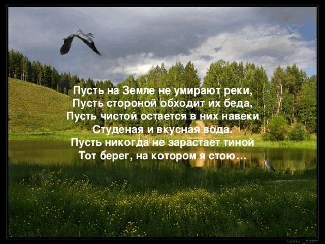 Пусть сторона. Пусть стороной обходят. Пусть все беды обходят тебя стороной. Беда обходит стороной. Пусть беда обходит стороной ваш дом.