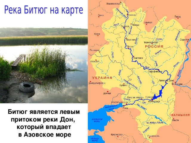 Реки впадающие в азовское море на карте