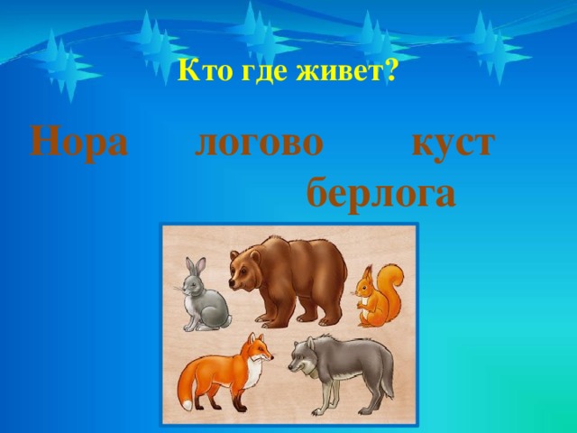 Кто где живет? Нора логово куст берлога