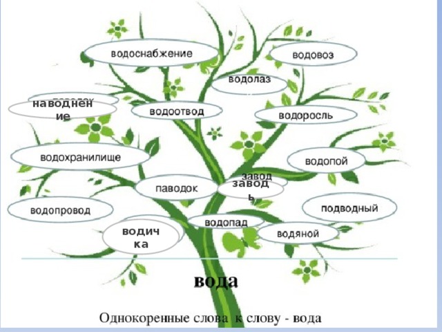 наводнение заводь водичка