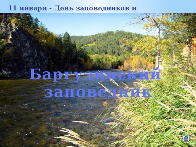 11 января - День заповедников и национальных парков Баргузинский заповедник является старейшим заповедником России. Назван по Баргузинскому уезду Забайкальской области, на территории которого был создан 29 декабря 1916 (11 января 1917) как Баргузинский соболиный заповедник для сохранения и увеличения численности соболя. На момент создания насчитывалось всего 20-30 особей соболя, в настоящее время — 1-2 особи на 1 км². Это единственный государственный заповедник страны, учрежденный до революции 1917 года. Баргузинский заповедник 