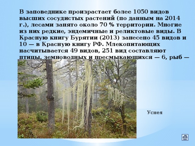 В заповеднике произрастает более 1050 видов высших сосудистых растений (по данным на 2014 г.), лесами занято около 70 % территории. Многие из них редкие, эндемичные и реликтовые виды. В Красную книгу Бурятии (2013) занесено 45 видов и 10 — в Красную книгу РФ. Млекопитающих насчитывается 49 видов, 251 вид составляют птицы, земноводных и пресмыкающихся — 6, рыб — 12. Уснея 