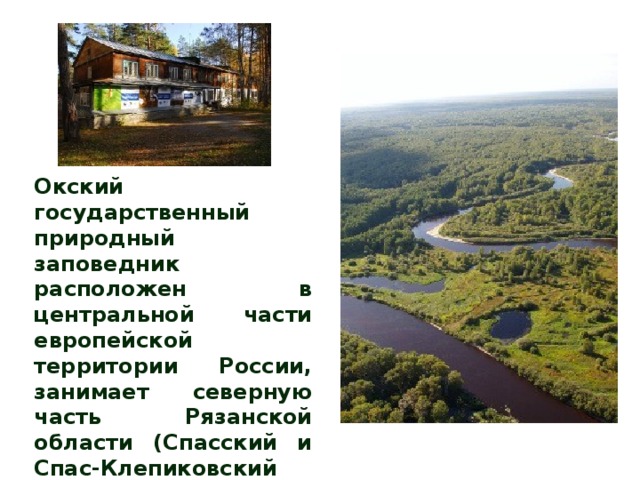 Усадьба окского заповедника расположена на месте. Окский заповедник в Рязанской области на карте. Окский государственный заповедник. Окский заповедник на карте. Окский заповедник презентация.