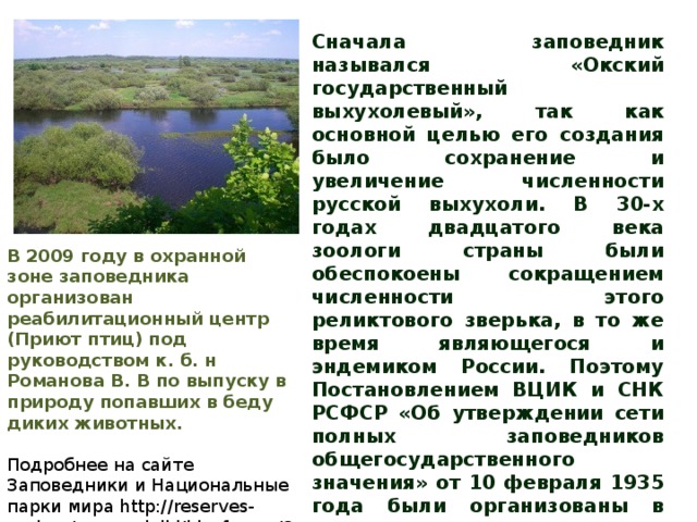 Сначала заповедник назывался «Окский государственный выхухолевый», так как основной целью его создания было сохранение и увеличение численности русской выхухоли. В 30-х годах двадцатого века зоологи страны были обеспокоены сокращением численности этого реликтового зверька, в то же время являющегося и эндемиком России. Поэтому Постановлением ВЦИК и СНК РСФСР «Об утверждении сети полных заповедников общегосударственного значения» от 10 февраля 1935 года были организованы в дополнение к уже существующим заповедникам ещё 6, из которых три - Окский, Хопёрский и Клязьминский– для охраны и восстановления численности выхухоли. В 2009 году в охранной зоне заповедника организован реабилитационный центр (Приют птиц) под руководством к. б. н Романова В. В по выпуску в природу попавших в беду диких животных.   Подробнее на сайте Заповедники и Национальные парки мира http://reserves-park.ru/zapovedniki/biosfernye/83-okskij.html 