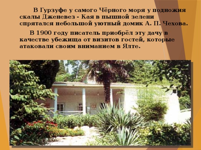  В Гурзуфе у самого Чёрного моря у подножия скалы Дженевез - Кая в пышной зелени спрятался небольшой уютный домик А. П. Чехова.  В 1900 году писатель приобрёл эту дачу в качестве убежища от визитов гостей, которые атаковали своим вниманием в Ялте.   