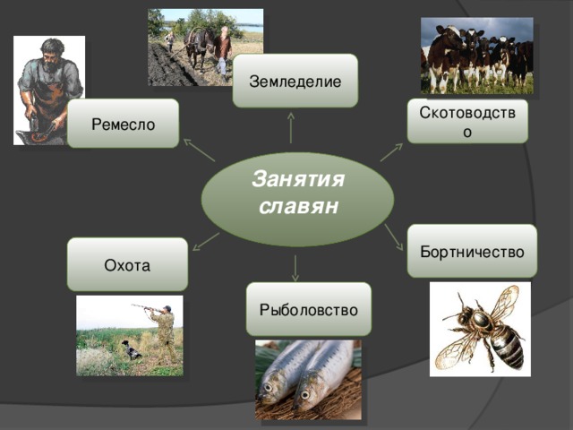 Земледелие скотоводство ремесло. Земледелие, скотоводство, охота и рыболовство, бортничество и Ремесла. Установи соответствие рыболовство бортничество земледелие. Охота, ремесло, скотоводство, земледелие. Что лишнее. Скотоводство охота рыболовство, бортничество в Украине.