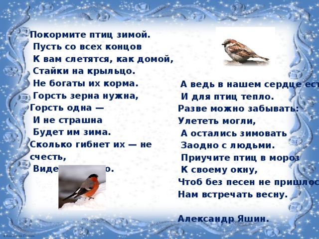 Стихотворение покормите зимой. Стихи про птиц. Стихи про зимующих птиц для детей. Птицы в поэзии.