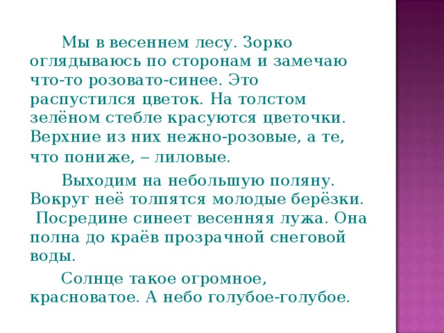 Мы в весеннем лесу. Зорко оглядываюсь по сторонам и замечаю что-то розовато-синее. Это распустился цветок. На толстом зелёном стебле красуются цветочки. Верхние из них нежно-розовые, а те, что пониже,  лиловые.   Выходим на небольшую поляну. Вокруг неё толпятся молодые берёзки. Посредине синеет весенняя лужа. Она полна до краёв прозрачной снеговой воды.   Солнце такое огромное, красноватое. А небо голубое-голубое.