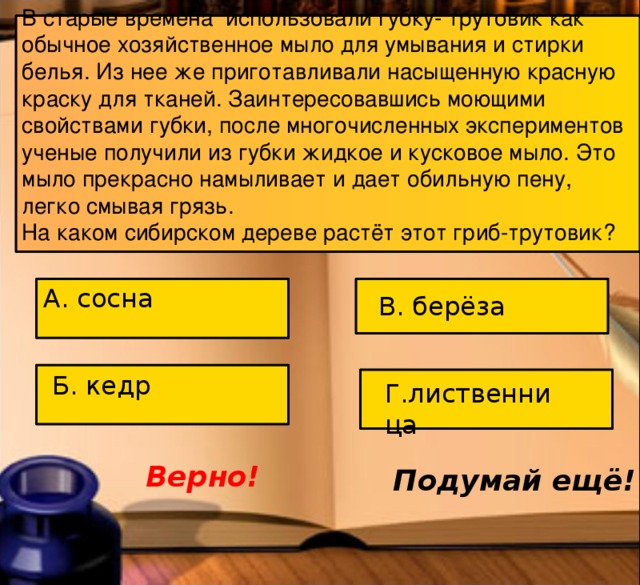 В старые времена использовали губку- трутовик как обычное хозяйственное мыло для умывания и стирки белья. Из нее же приготавливали насыщенную красную краску для тканей. Заинтересовавшись моющими свойствами губки, после многочисленных экспериментов ученые получили из губки жидкое и кусковое мыло. Это мыло прекрасно намыливает и дает обильную пену, легко смывая грязь. На каком сибирском дереве растёт этот гриб-трутовик? А. сосна В. берёза Б. кедр Г.лиственница Верно! Подумай ещё! 