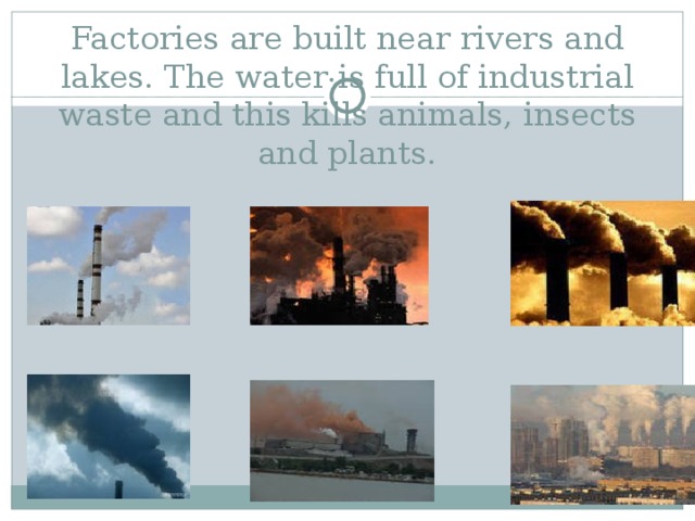 Factories are built near rivers and lakes. The water is full of industrial waste and this kills animals, insects and plants. 