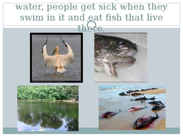 Animals die when they drink this water, people get sick when they swim in it and eat fish that live there. 