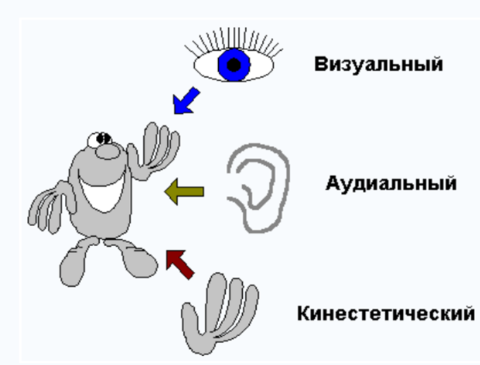 Диагностика ведущей перцептивной модальности. Визуальный аудиальный и кинестетический типы восприятия. Визуальный Тип восприятия информации. Тактильный визуальный аудиальный и кинестетический типы восприятия. Каналы восприятия.