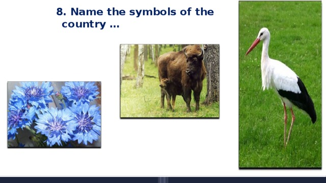 8. Name the symbols of the country …     
