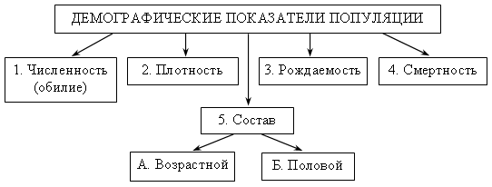 Популяция план урока 11 класс