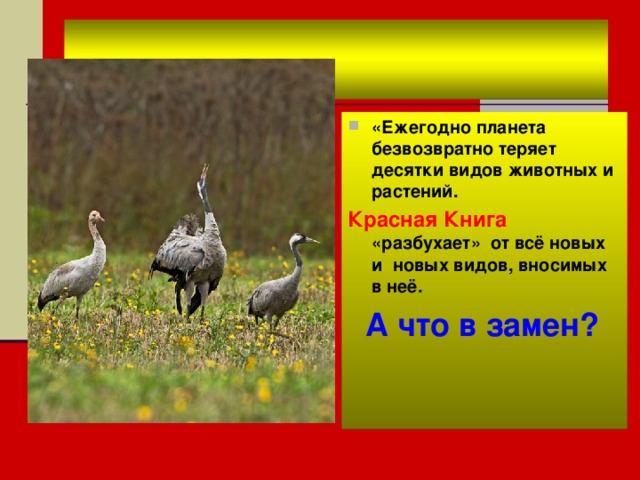 «Ежегодно планета безвозвратно теряет десятки видов животных и растений. Красная Книга «разбухает» от всё новых и новых видов, вносимых в неё.  А что в замен? 