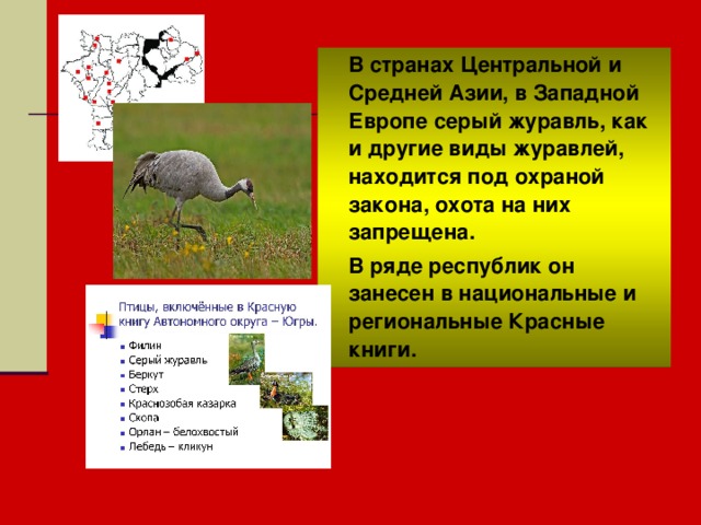 В странах Центральной и Средней Азии, в Западной Европе серый журавль, как и другие виды журавлей, находится под охраной закона, охота на них запрещена.  В ряде республик он занесен в национальные и региональные Красные книги. 