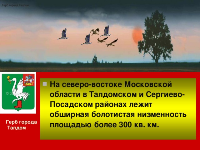 Герб города Талдом Герб города Талдом На северо-востоке Московской области в Талдомском и Сергиево-Посадском районах лежит обширная болотистая низменность площадью более 300 кв. км.  Герб города  Талдом  