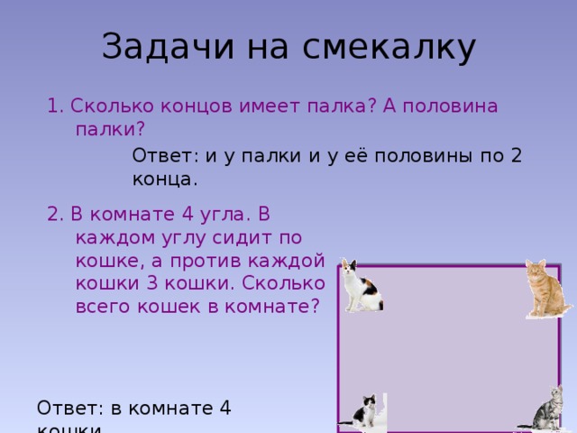 Настя нарисовала столько кружочков сколько концов у двух с половиной палок