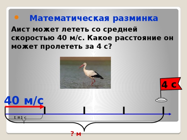 На схеме отрезками разного цвета показаны скорости животных встречающихся в тексте ответ