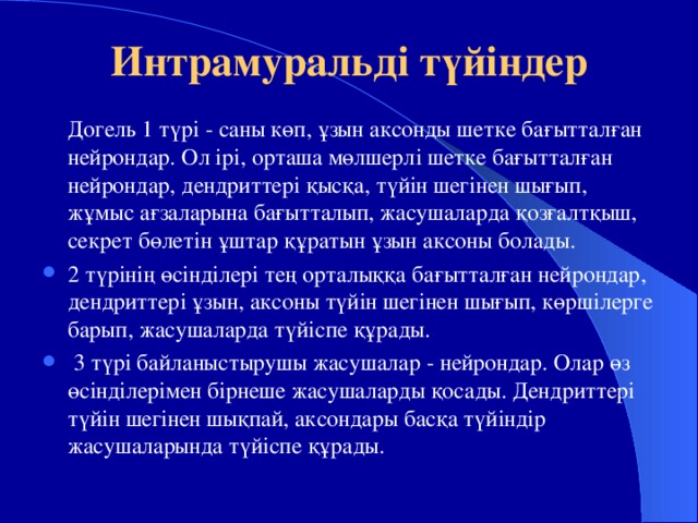 Ұзын қысқа биік аласа кең тар қалың жұқа тең заттар тех карта мектепалды даярлық