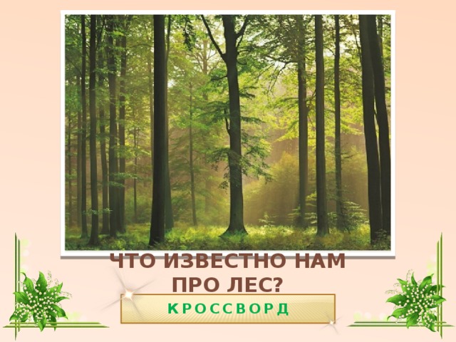 Хвойный лес сканворд 6