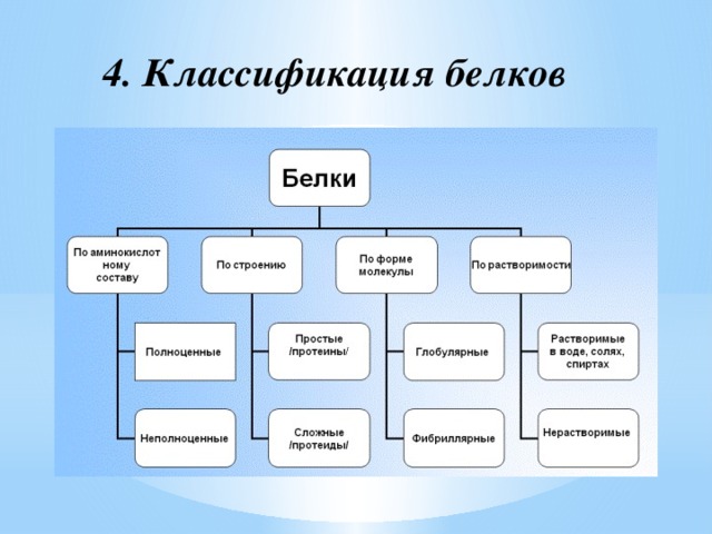 4. Классификация белков   