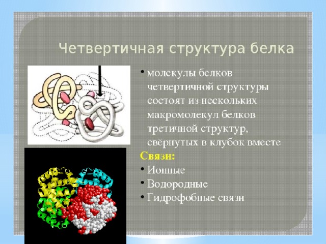Четвертичная структуры белков связи их стабилизирующие примеры Презентация к учебному занятию "Белки их строение и свойства"