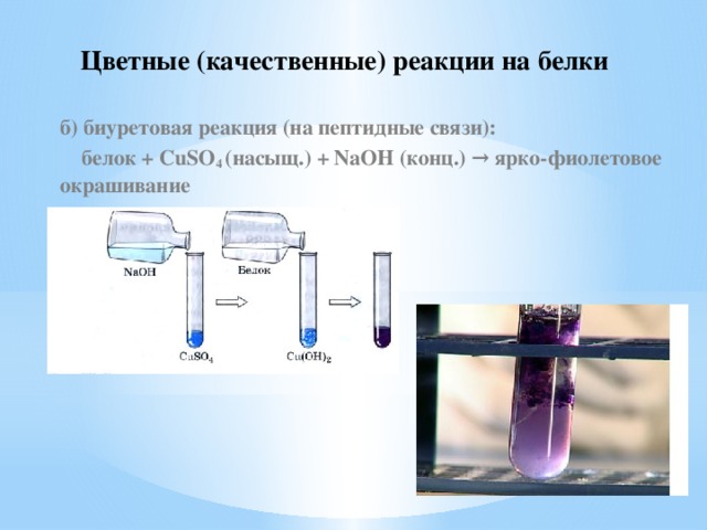 Цветные (качественные) реакции на белки б) биуретовая реакция (на пептидные связи):  белок + CuSO 4 (насыщ.) + NaOH (конц.) → ярко-фиолетовое окрашивание  