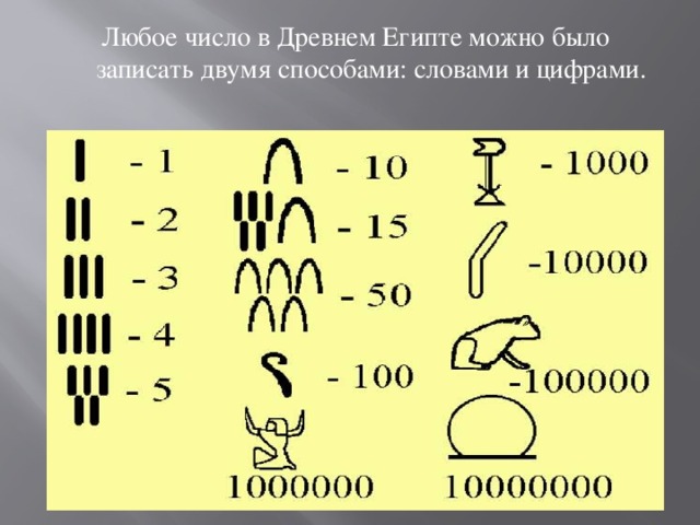 Любое число в Древнем Египте можно было записать двумя способами: словами и цифрами. 