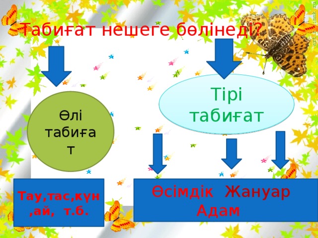 Табиғат жаратылыс пернесі сабақ жоспары 5 сынып. Өлі Табиғаттағы үдерістер презентация. Табиғат дегеніміз не.