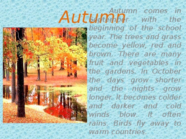   Autumn    Autumn comes in September with the beginning of the school year. The trees and grass become yellow, red and brown. There are many fruit and vegetables in the gardens. In October the days grow shorter and the nights grow longer. It becomes colder and darker and cold winds blow. It often rains. Birds fly away to warm countries. 
