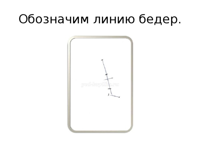Обозначим линию бедер. 