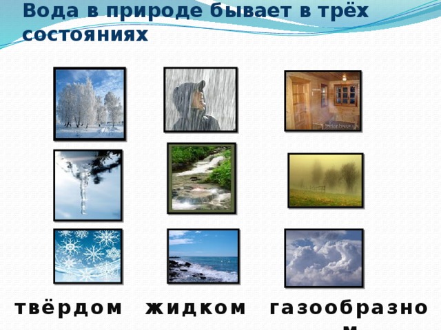 Приведите примеры трех состояний воды
