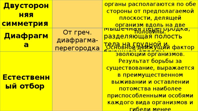 Двусторонняя симметрия Симметрия, при которой органы располагаются по обе стороны от предполагаемой плоскости, делящей организм вдоль на две половины. От греч. диафрагма- перегородка Мышечная перегородка, разделяющая полость тела на грудной и брюшной отделы. Диафрагма Основной движущий фактор эволюции организмов. Результат борьбы за существование, выражается в преимущественном выживании и оставлении потомства наиболее приспособленными особями каждого вида организмов и гибели менее приспособленных . Естественный отбор 