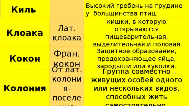 Киль Высокий гребень на грудине у большинства птиц. Клоака Лат. клоака Расширенная часть задней кишки, в которую открываются пищеварительная, выделительная и половая системы. Фран. кокон Защитное образование, предохраняющее яйца, зародыши или куколки. Кокон Колония От лат. колония- поселение Группа совместно живущих особей одного или нескольких видов, способных жить самостоятельно. 
