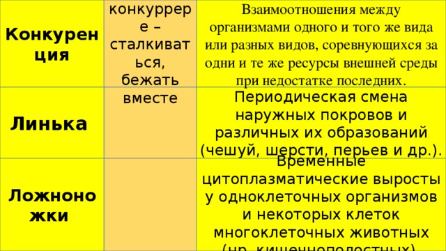 Взаимоотношения между организмами одного и того же вида или разных видов, соревнующихся за одни и те же ресурсы внешней среды при недостатке последних. Конкуренция От лат. конкуррере –сталкиваться, бежать вместе Периодическая смена наружных покровов и различных их образований (чешуй, шерсти, перьев и др.). Линька Временные цитоплазматические выросты у одноклеточных организмов и некоторых клеток многоклеточных животных (нр, кищечнополостных). Ложноножки 