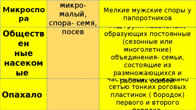 Микроспора От греч. микро- малый, спора- семя, посев Мелкие мужские споры у папоротников Обществен ные насекомые Ряд групп насекомых, образующих постоянные (сезонные или многолетние) объединения- семьи, состоящие из размножающихся и рабочих особей . Часть пера, образовано сетью тонких роговых пластинок ( бородок) первого и второго порядка. Опахало 