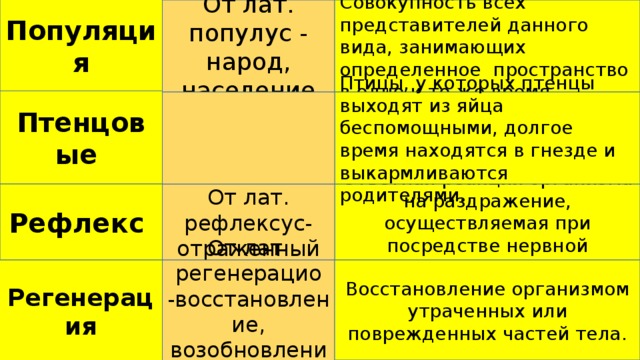 Популяция От лат. популус - народ, население Совокупность всех представителей данного вида, занимающих определенное пространство в одно и то же время. Птенцовые Птицы, у которых птенцы выходят из яйца беспомощными, долгое время находятся в гнезде и выкармливаются родителями. Ответная реакция организма на раздражение, осуществляемая при посредстве нервной системы. Рефлекс От лат. рефлексус-отраженный Регенерация От лат. регенерацио -восстановление, возобновление Восстановление организмом утраченных или поврежденных частей тела. 
