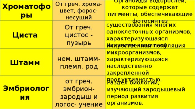 От греч. хрома- цвет, форос- несущий Органоиды водорослей, которые содержат пигменты, обеспечивающие фотосинтез Хроматофоры От греч. цистос - пузырь Временная форма существования многих одноклеточных организмов, характеризующаяся наличием защитной оболочки. Циста Искусственная популяция микроорганизмов, характеризующаяся наследственно закрепленной продуктивностью. нем. штамм-племя, род Штамм от греч. эмбрион- зародыш и логос- учение Эмбриология Раздел биологии, изучающий зародышевый период развития организмов. 