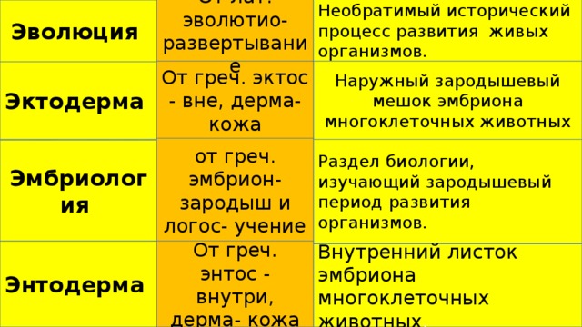 Необратимый исторический процесс развития живых организмов. От лат. эволютио- развертывание Эволюция Наружный зародышевый мешок эмбриона многоклеточных животных От греч. эктос - вне, дерма- кожа Эктодерма от греч. эмбрион- зародыш и логос- учение Раздел биологии, изучающий зародышевый период развития организмов. Эмбриология Энтодерма От греч. энтос - внутри, дерма- кожа Внутренний листок эмбриона многоклеточных животных . 