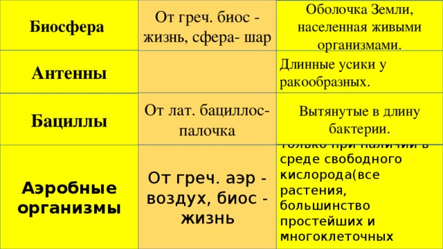 Биосфера От греч. биос - жизнь, сфера- шар Оболочка Земли, населенная живыми организмами. Антенны Длинные усики у ракообразных. От лат. бациллос- палочка Вытянутые в длину бактерии. Бациллы От греч. аэр - воздух, биос - жизнь Организмы живущие только при наличии в среде свободного кислорода(все растения, большинство простейших и многоклеточных животных, почти все грибы). Аэробные организмы 