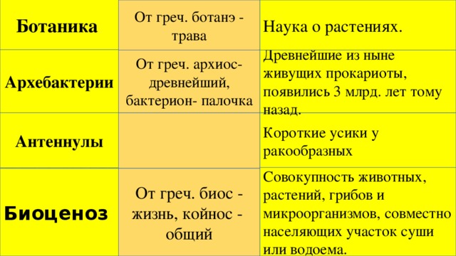 Ботаника От греч. ботанэ - трава Наука о растениях. От греч. архиос- древнейший, бактерион- палочка Архебактерии Древнейшие из ныне живущих прокариоты, появились 3 млрд. лет тому назад. Антеннулы Короткие усики у ракообразных Совокупность животных, растений, грибов и микроорганизмов, совместно населяющих участок суши или водоема. Биоценоз От греч. биос - жизнь, койнос - общий 