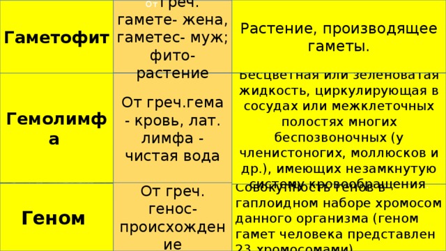 Растение, производящее гаметы. Гаметофит От греч. гамете- жена, гаметес- муж; фито-растение От греч.гема - кровь, лат. лимфа - чистая вода Бесцветная или зеленоватая жидкость, циркулирующая в сосудах или межклеточных полостях многих беспозвоночных (у членистоногих, моллюсков и др.), имеющих незамкнутую систему кровообращения . Гемолимфа От греч. генос- происхождение Геном Совокупность генов в гаплоидном наборе хромосом данного организма (геном гамет человека представлен 23 хромосомами). 